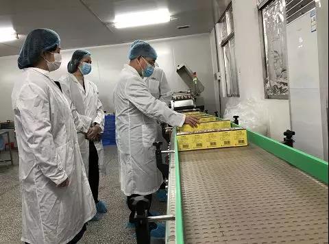 同心抗疫，确保质量！Z6尊龙凯时公司振隆厂表车间接受广药集团出产监督保险幼组工作督导