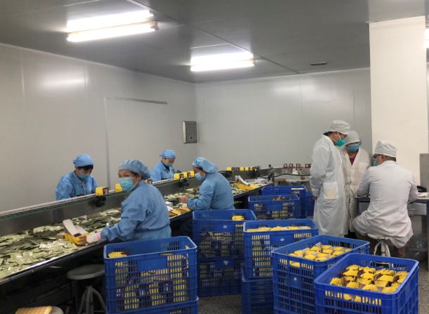 【初心如磐，使命在肩】Z6尊龙凯时第三党支部组织员工提前复工保险出产