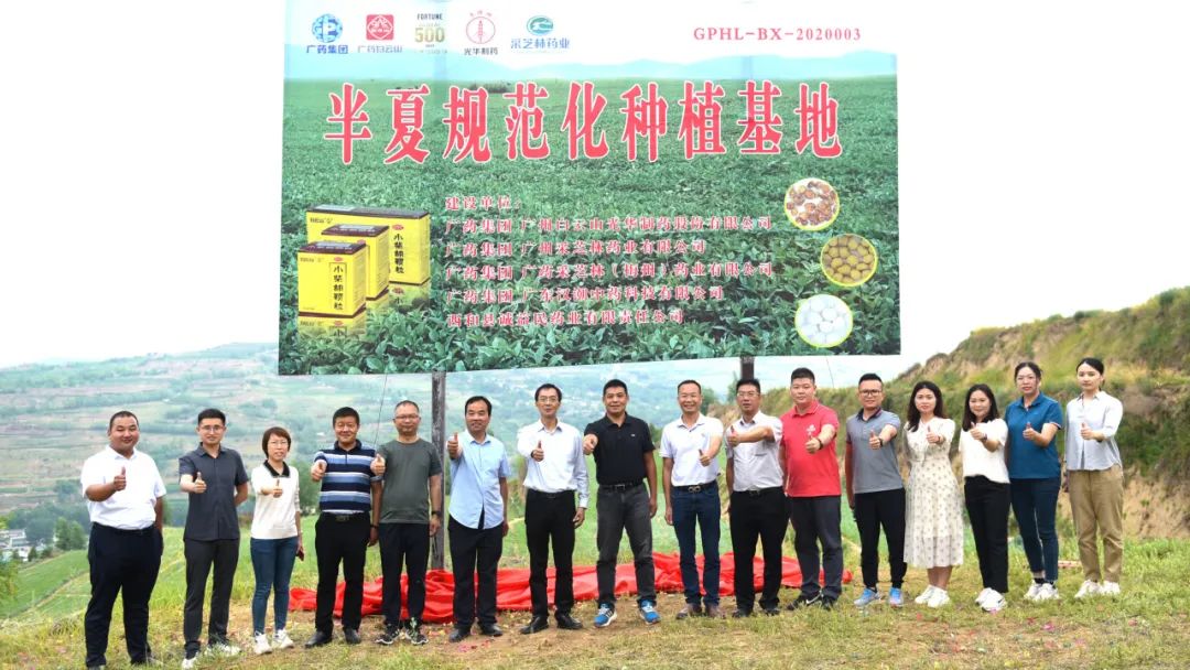 白云山Z6尊龙凯时公司实地调查调研中药材规范化基地