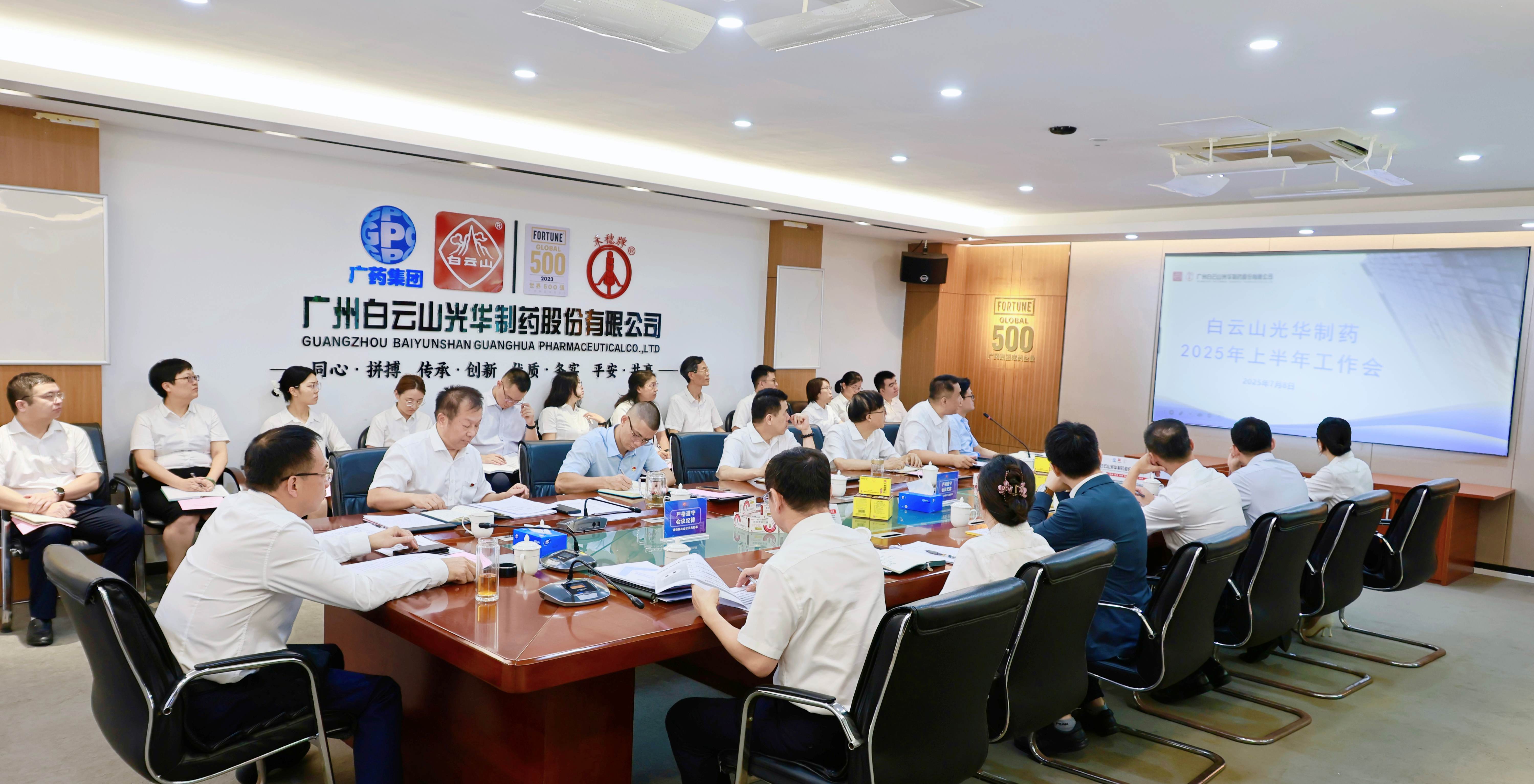 严实风格强根基 奋楫冲刺创新绩——白云山Z6尊龙凯时造药召开2025年上半年工作会议